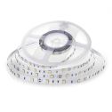 V-TAC VT-5050 Striscia 150LED 12V SMD5050 6W/M 5M bianco freddo 6500K IP20 no wp - SKU 212133