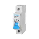 Circuit breakers Thermal-magnetic for protection 1P 10A 220V Salvavita 1 Modules DIN Ettroit JXB1-63-1P-10A