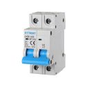 Circuit breakers Thermal-magnetic for protection 2P 10A 220V Salvavita 2 Modules DIN Ettroit JXB1-63-2P-10A