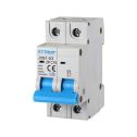 Disjoncteurs Thermique-magnétique pour la protection 2P 16A 220V Salvavita 2 Modules DIN Ettroit JXB1-63-2P-16A