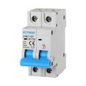 ETTROIT JX122560 Interruttore magnetotermico automatico 2P 25A 220V 2 Moduli DIN 