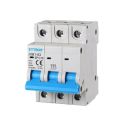ETTROIT Interruttore magnetotermico automatico 3P 10A 220V 380V 3 Moduli DIN JX131060