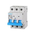 Circuit breakers Thermal-magnetic for protection 3P 16A 220V 380V Salvavita 3 Modules DIN Ettroit JXB1-63-3P-16A