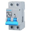 ETTROIT Disjoncteur 2P C63 63 A 6 kA IEC60898-1 JX126360