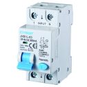 ETTROIT Interrupteur thermique magnétique différentiel 1P+N 6A 300mA 220V 6KA 2 modules DIN - JX270663