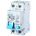 ETTROIT Interrupteur Thermique Magnétique Différentiel 1P+N 25A 30mA 220V 6KA CLASSE A - JX272564